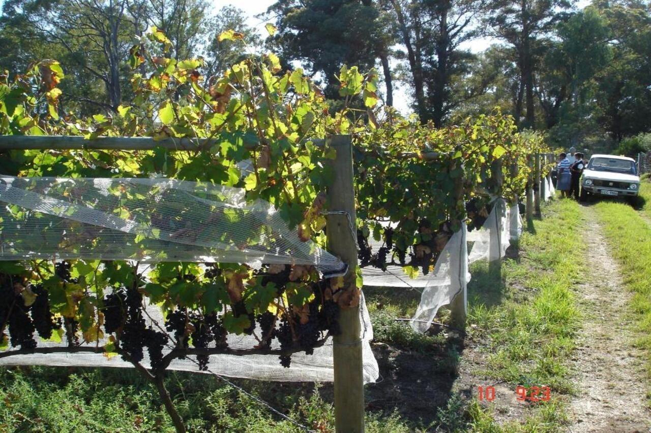 De Doornkraal Vinotel Riversdale Exteriér fotografie